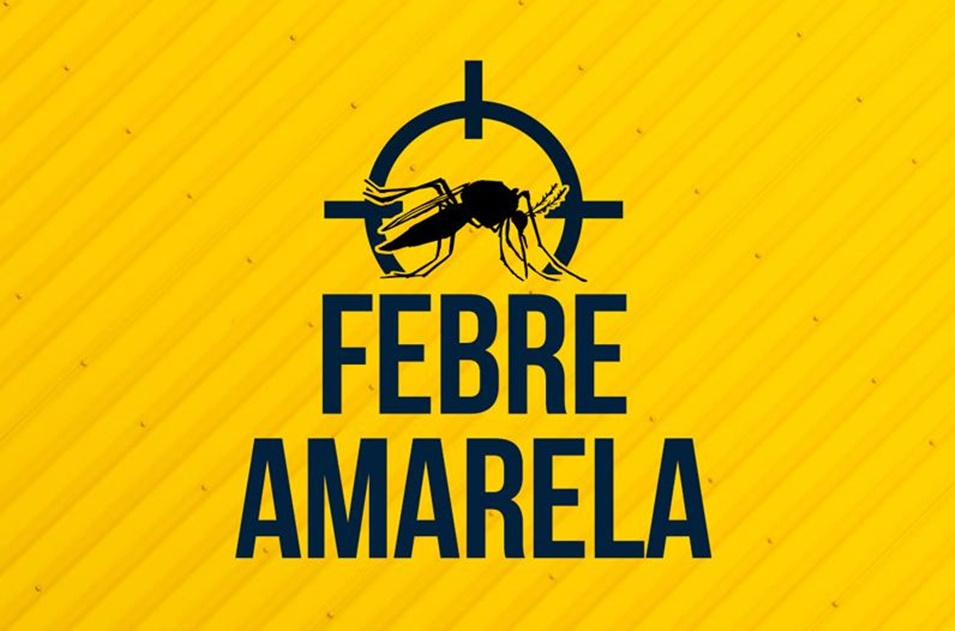 Febre amarela chega ao litoral norte de SP com dois casos em macacos